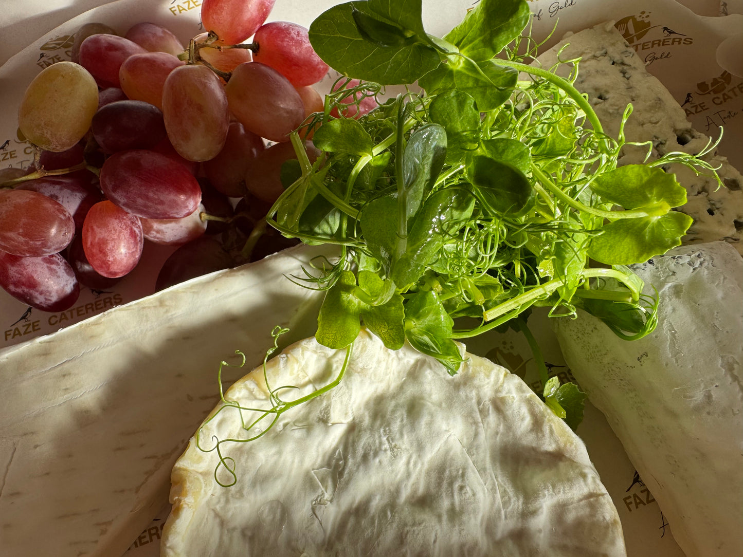 Selection of Cheese, Black Grapes & Biscuits